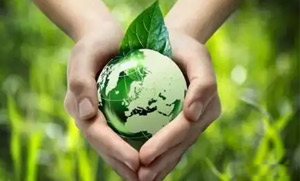 众博网页版页面登录_众博（中国）零碳（近零碳）发展战略和实施方案